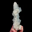 specimen video