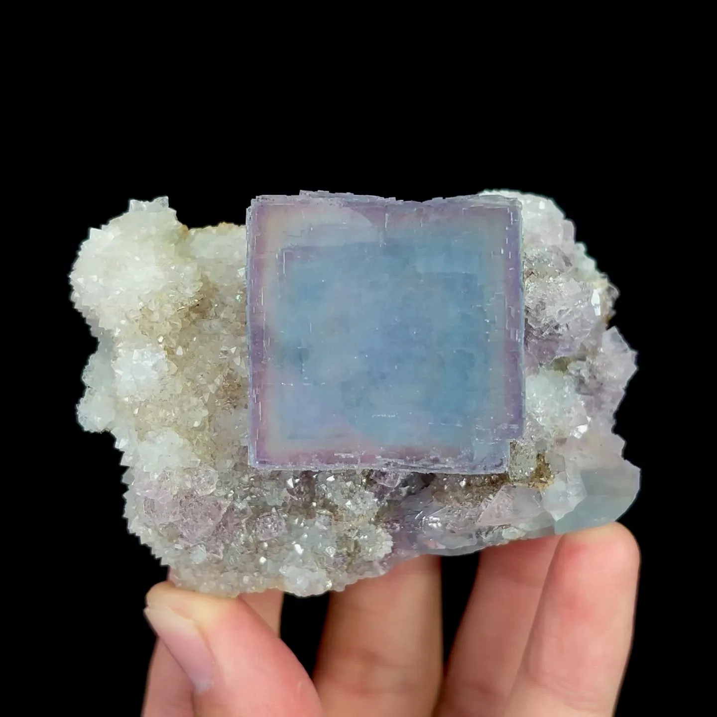 specimen video