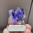 Natural Blue Cubic Fluorite and Quartz Symbiosis comes from Yaogangxian,Hunan 30*20*25MM - image 1