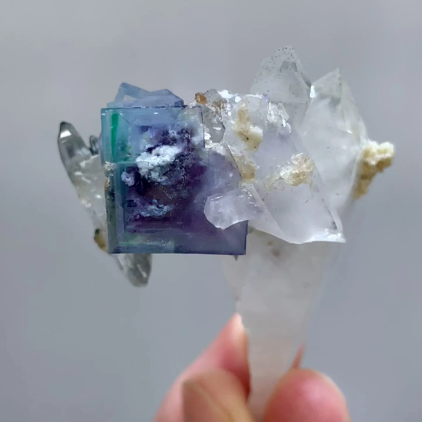 specimen video