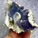 specimen video