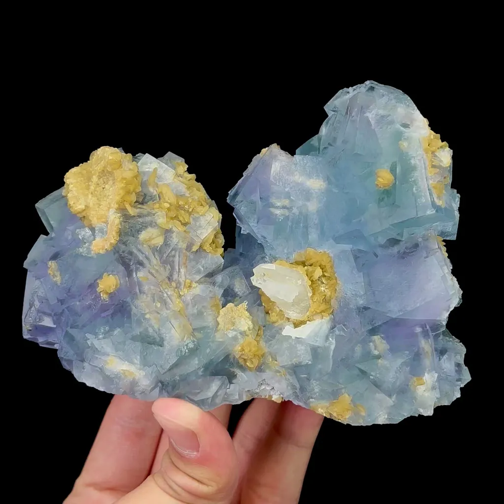 specimen video