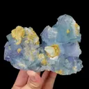 specimen video