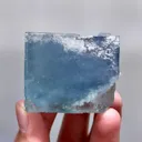 specimen video