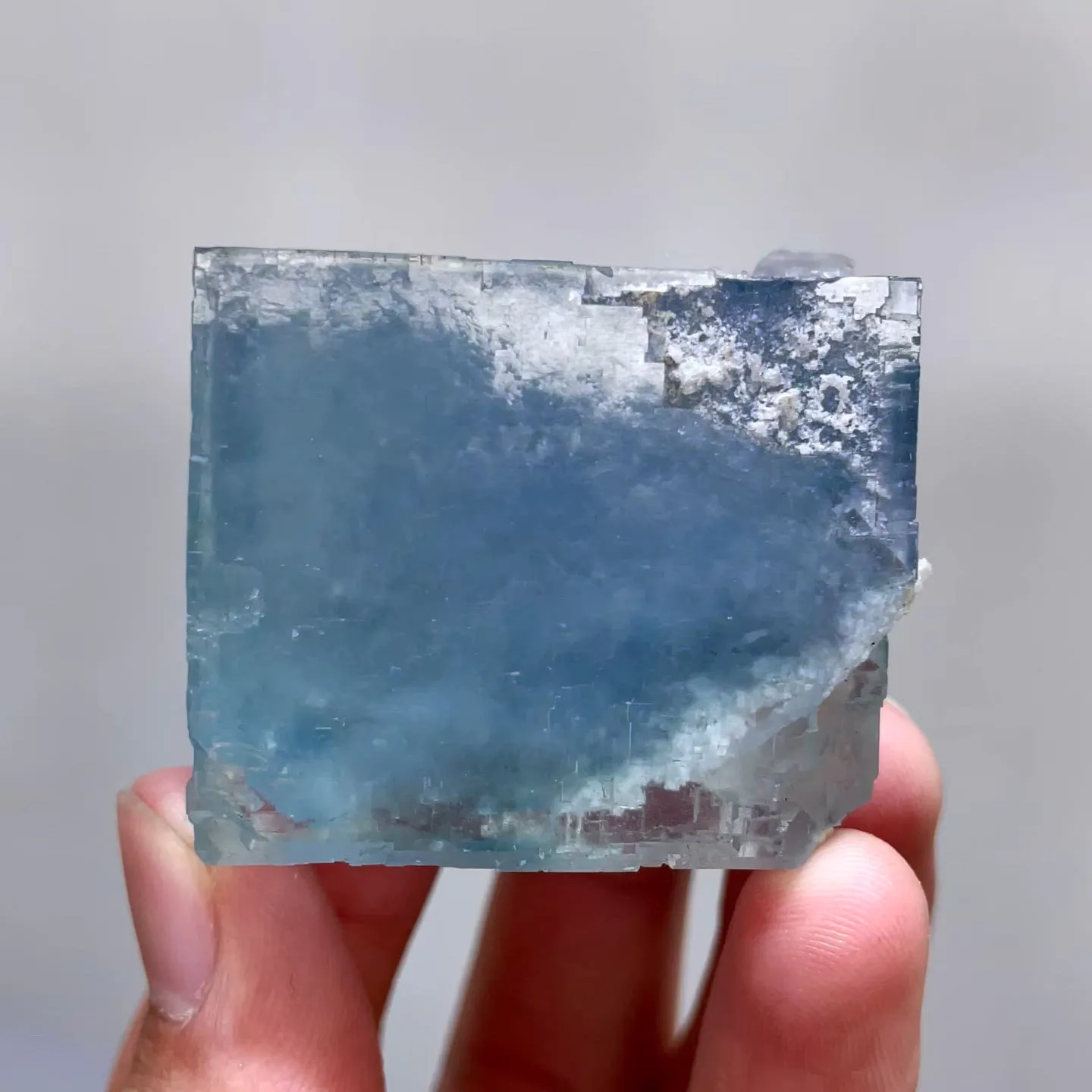 specimen video