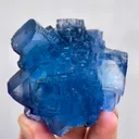 specimen video