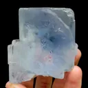 specimen video
