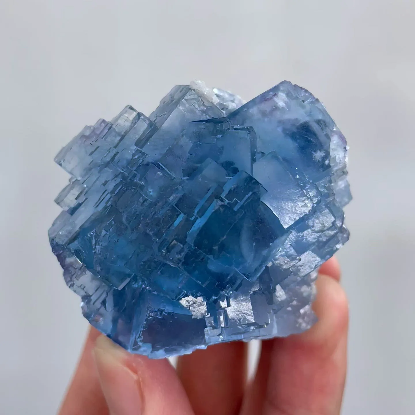specimen video