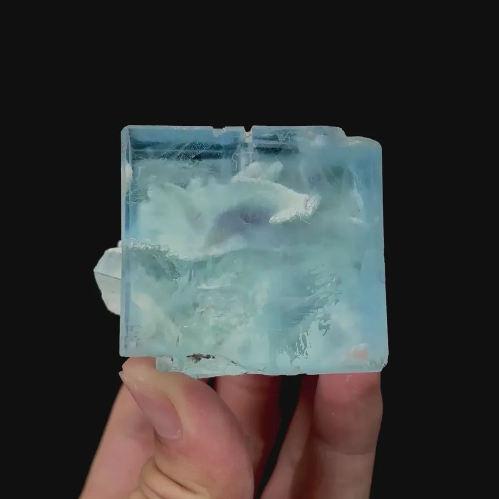 specimen video