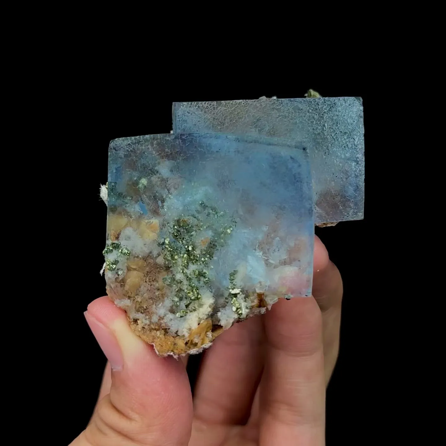 specimen video
