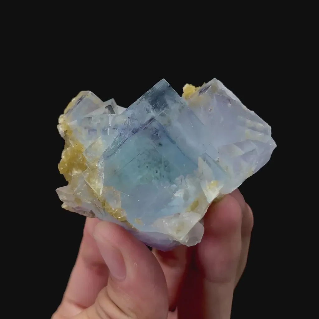 specimen video