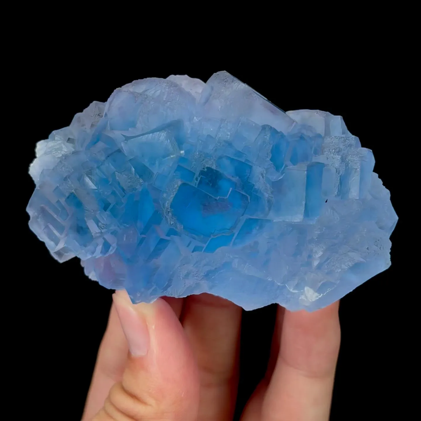 specimen video