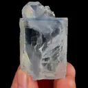 specimen video