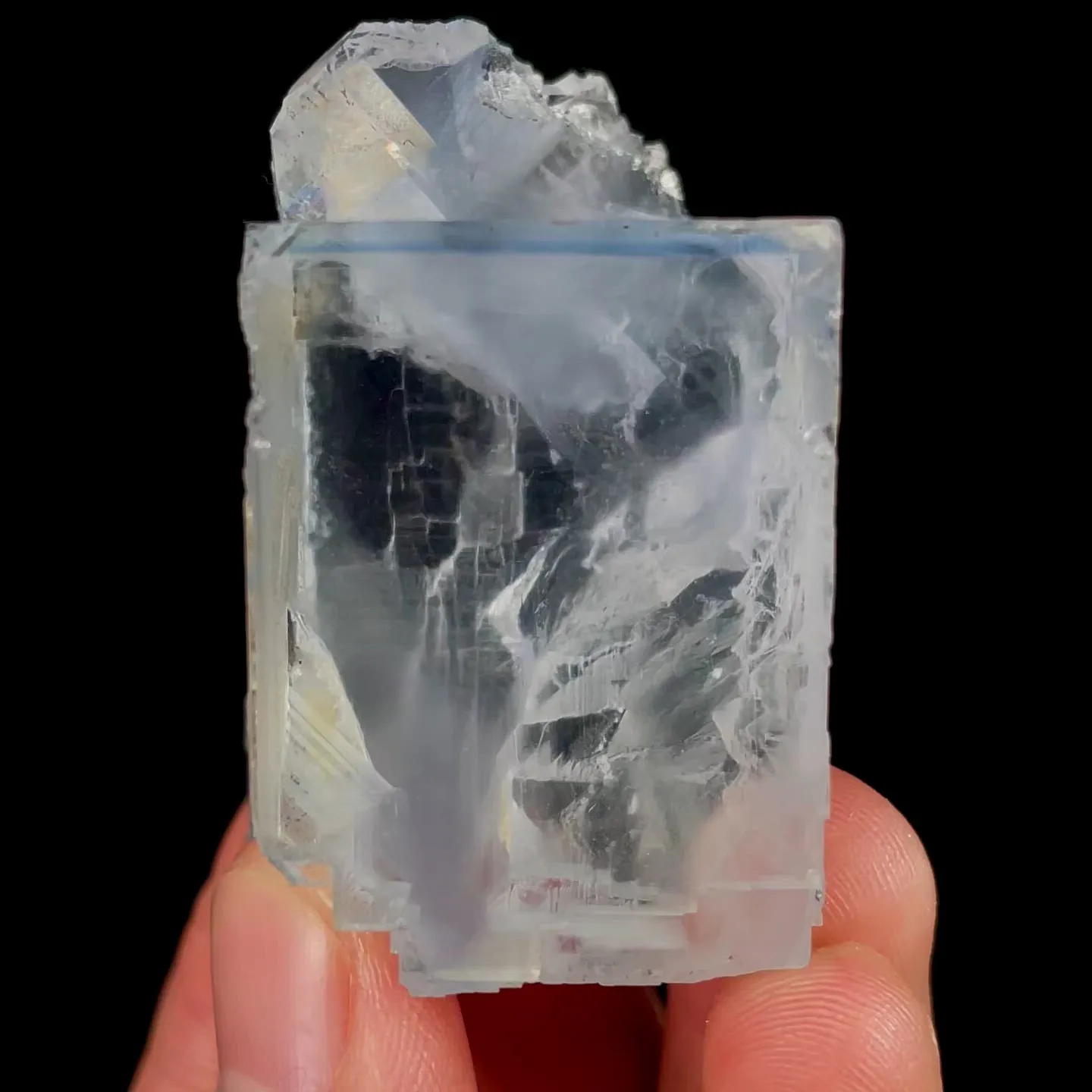 specimen video