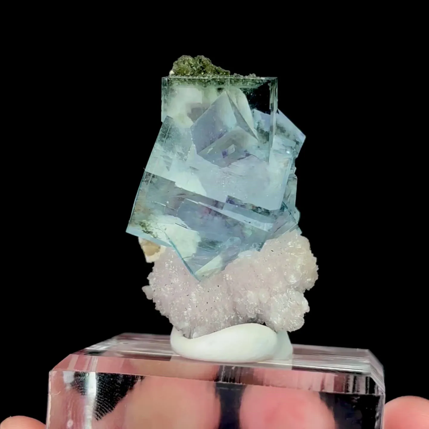 specimen video