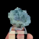 specimen video