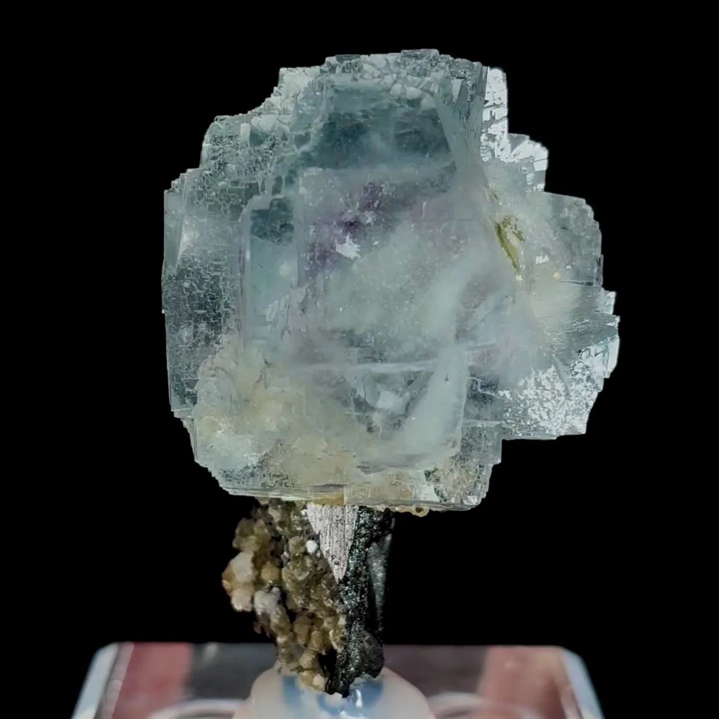 specimen video