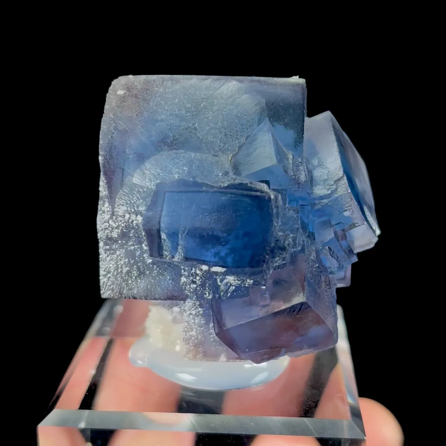 specimen video