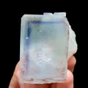 specimen video