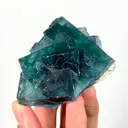 specimen video