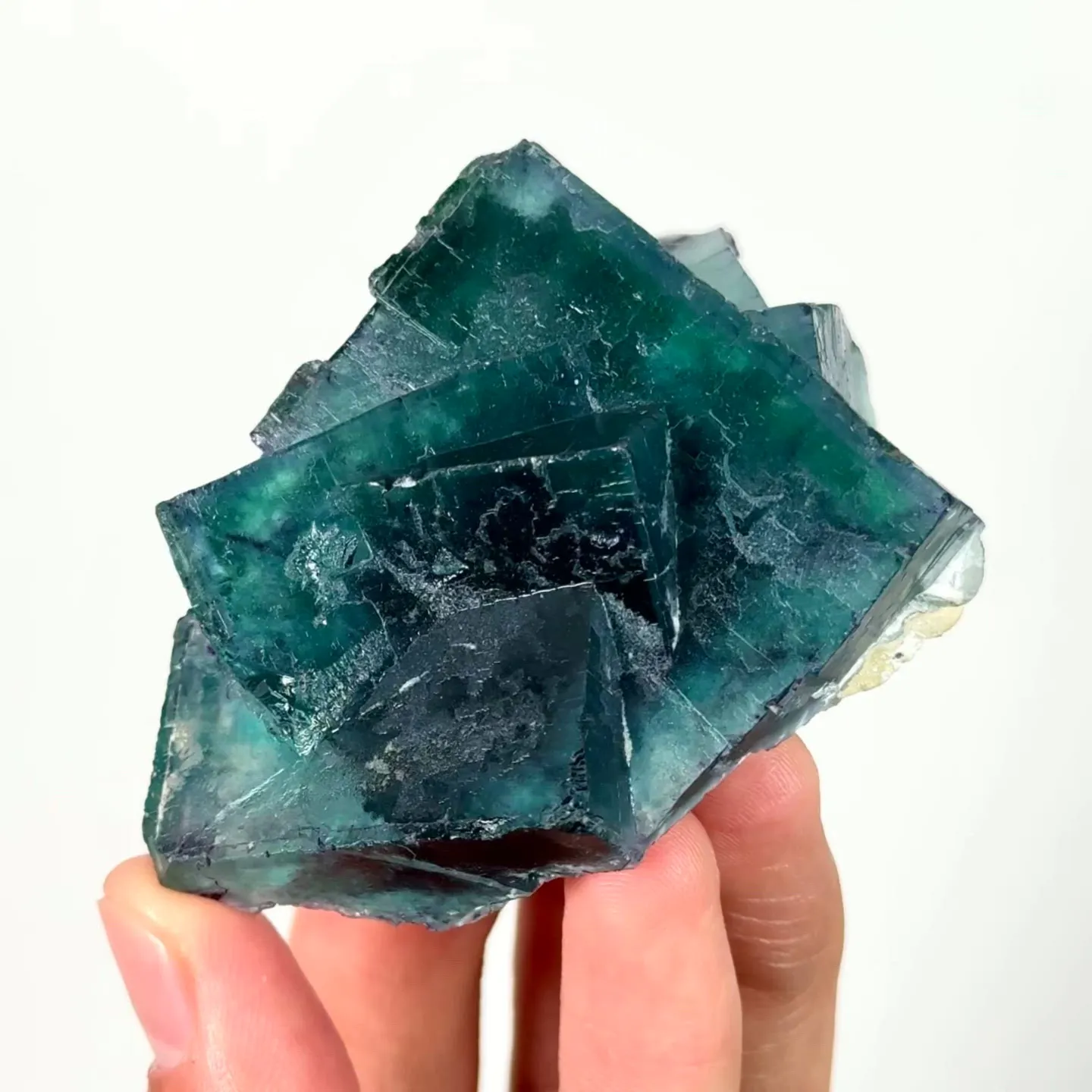 specimen video