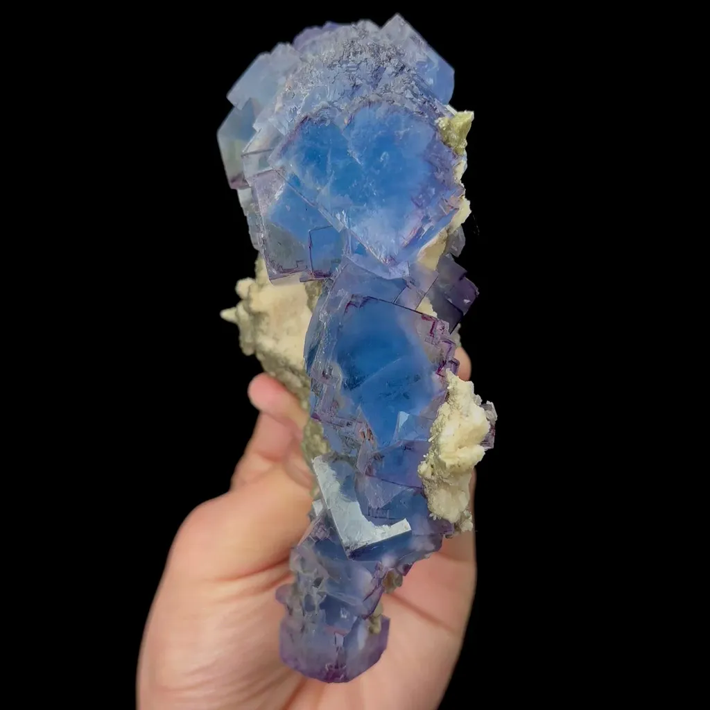 specimen video
