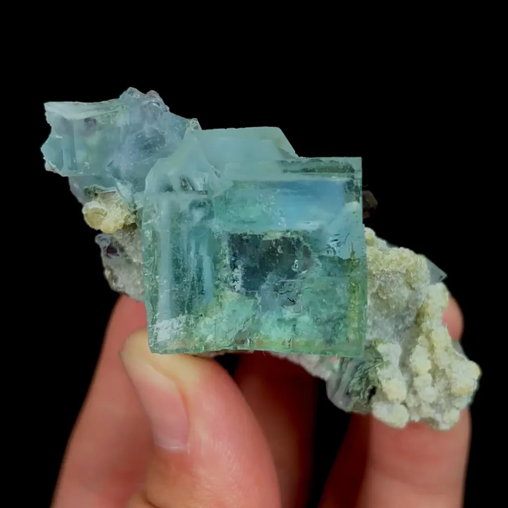 specimen video