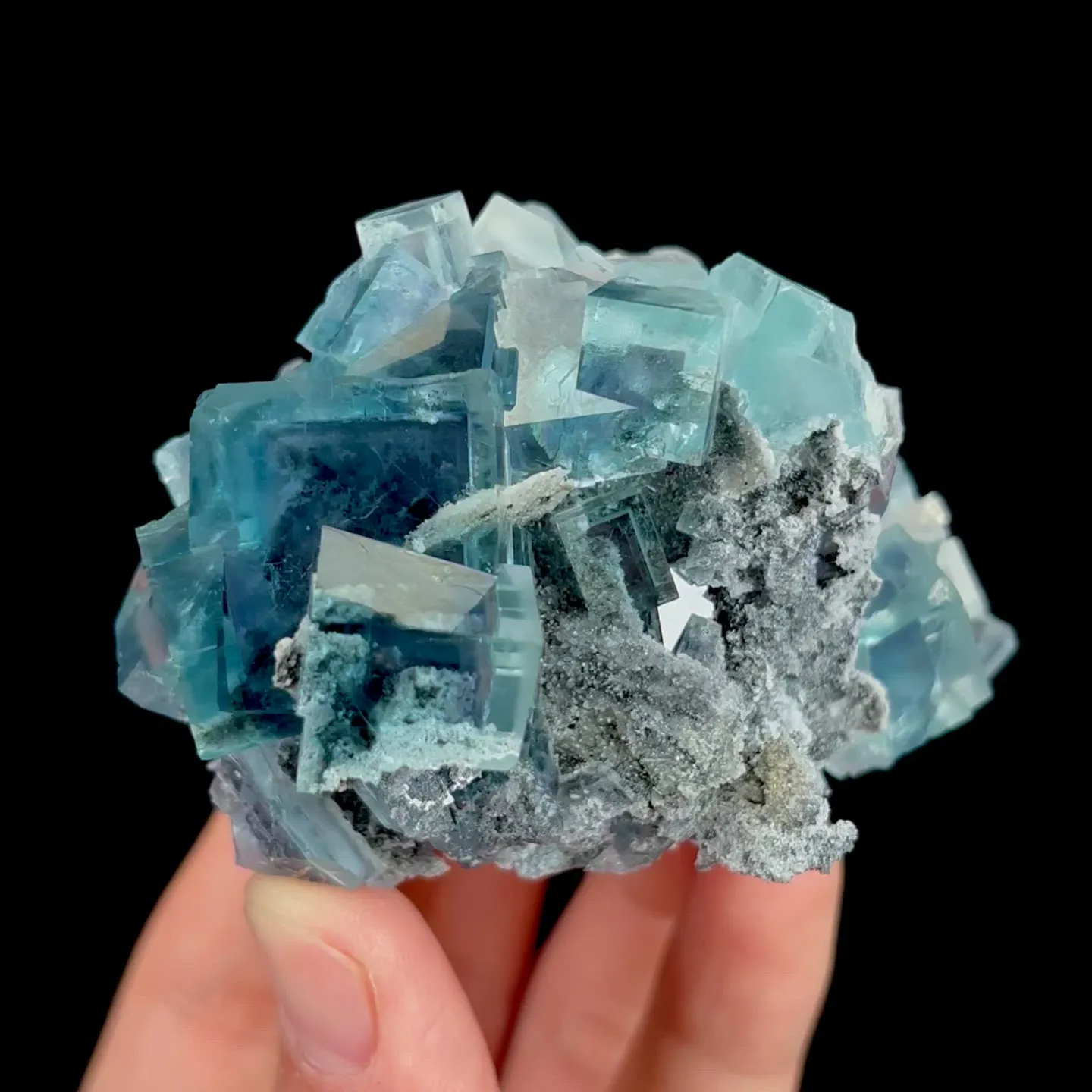 specimen video
