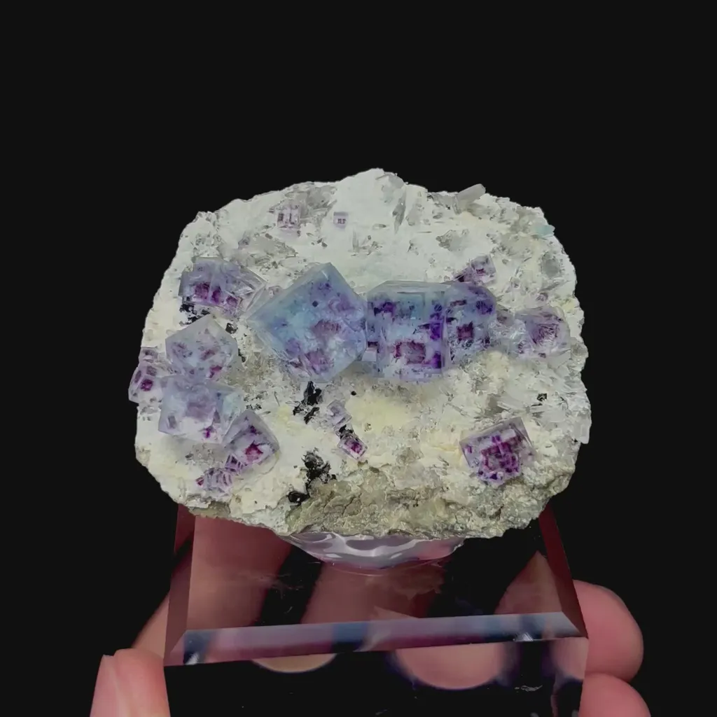 specimen video