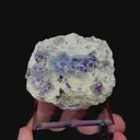 specimen video