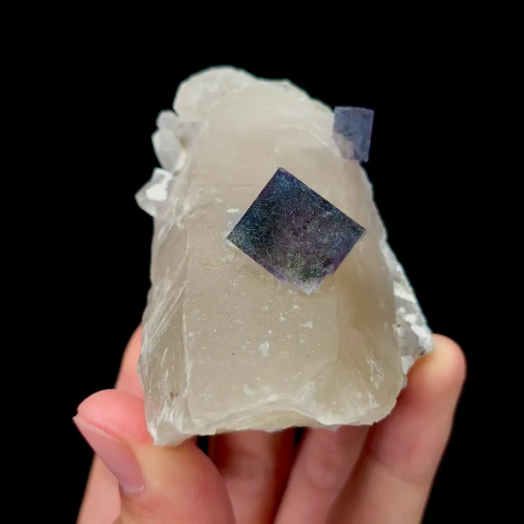 specimen video