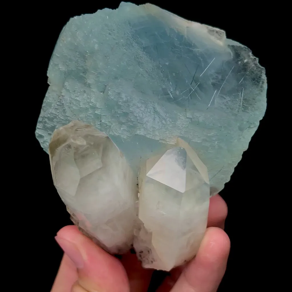 specimen video