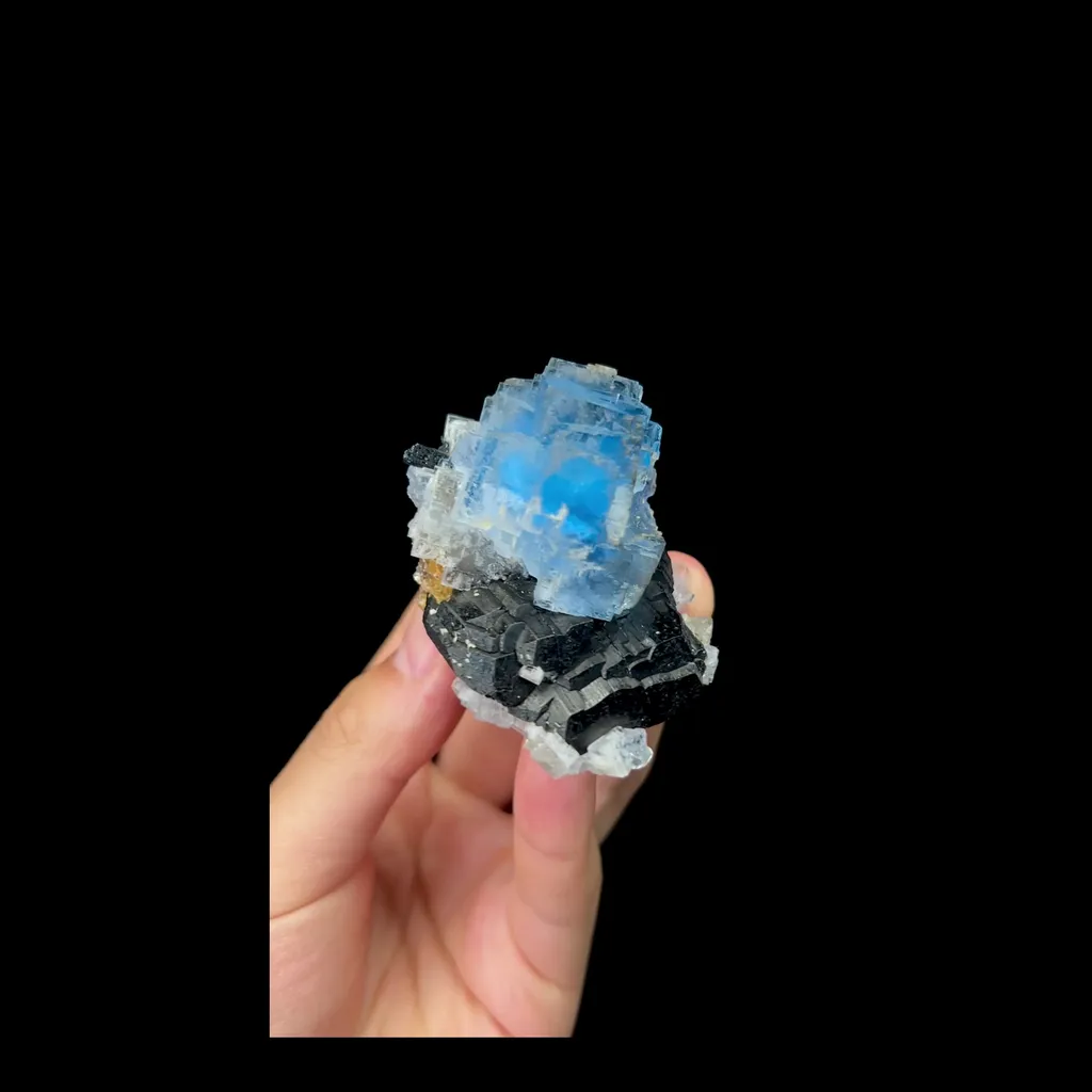 Natural Blue Fluorite and Black Wolframite Mineral Specimen,High Quality Specimen,YAO GANG XIAN,HUNAN,CHINA(45*65*40mm) image
