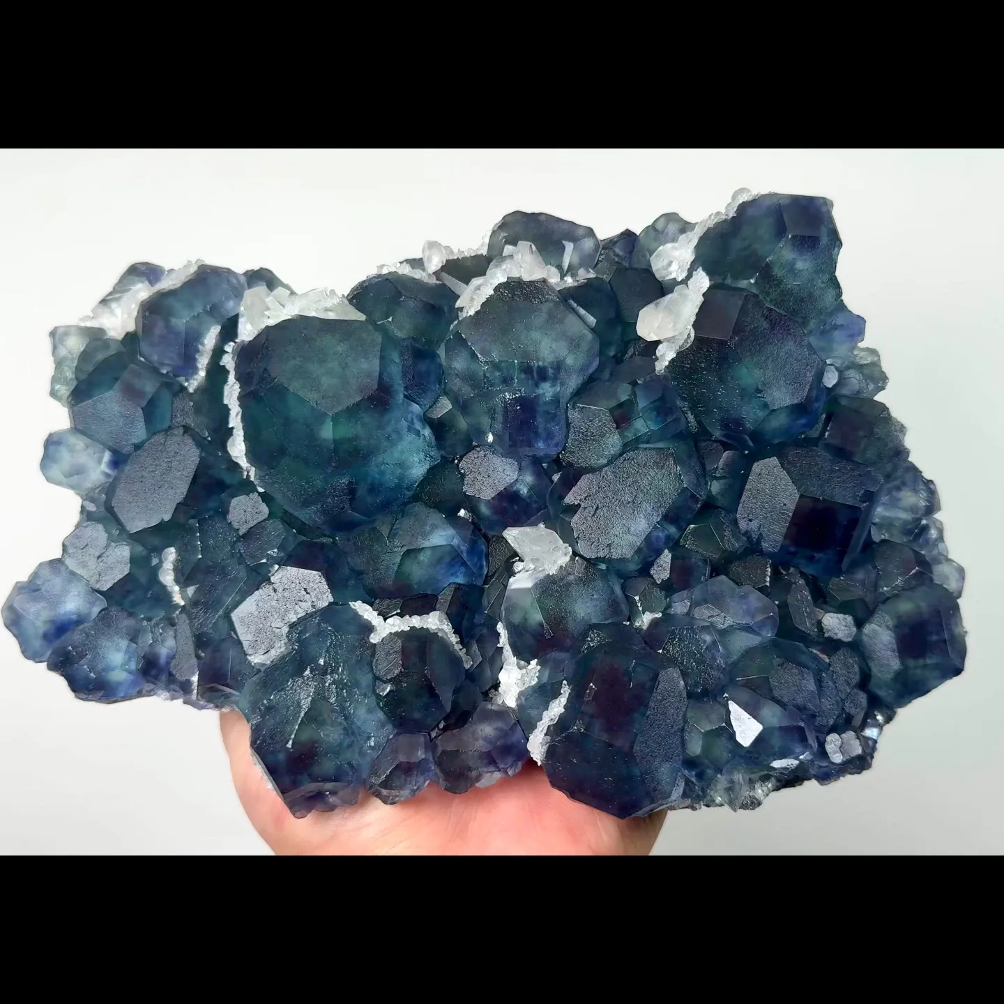 specimen video