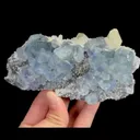 specimen video