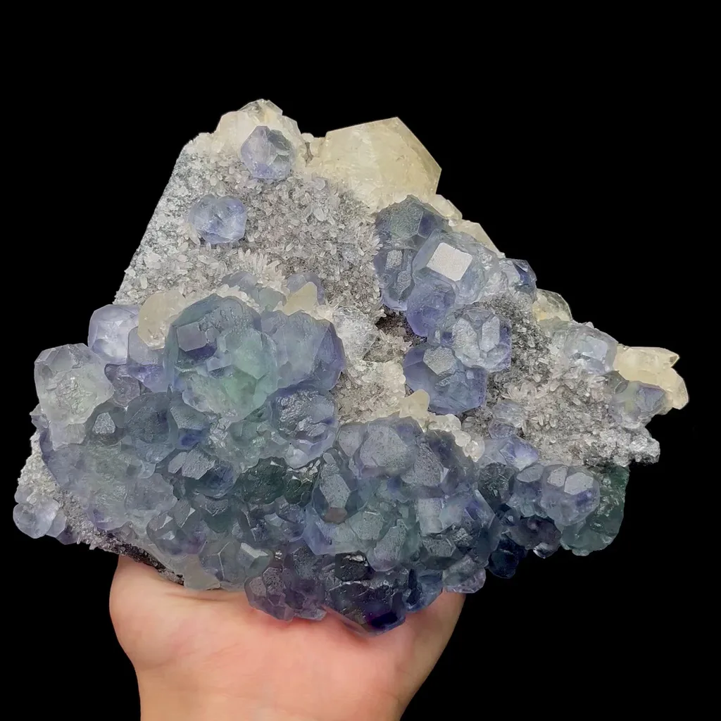 specimen video