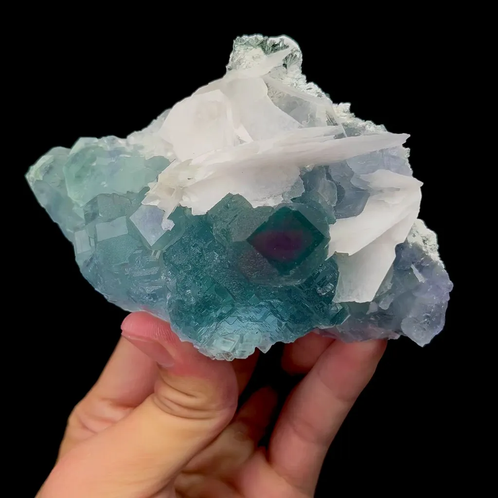 specimen video