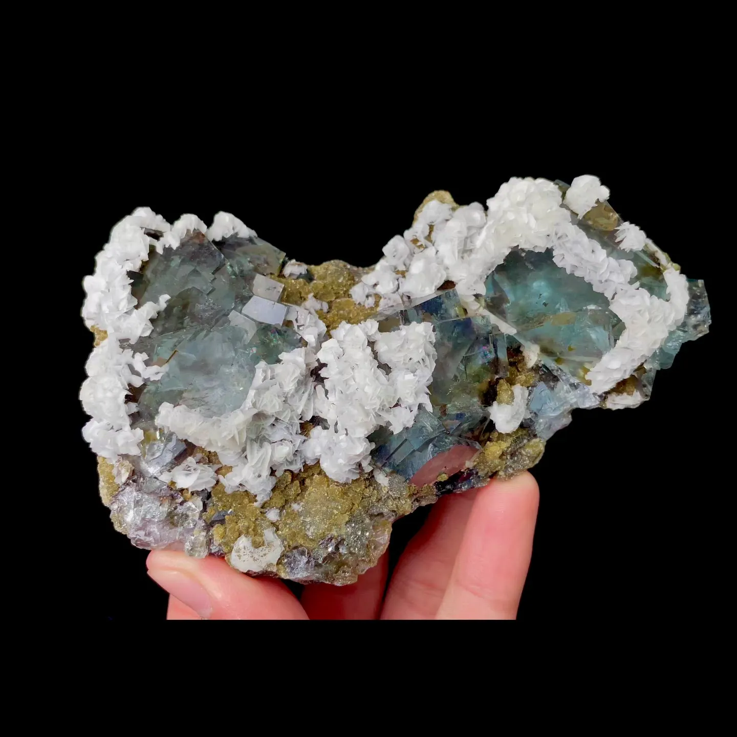specimen video