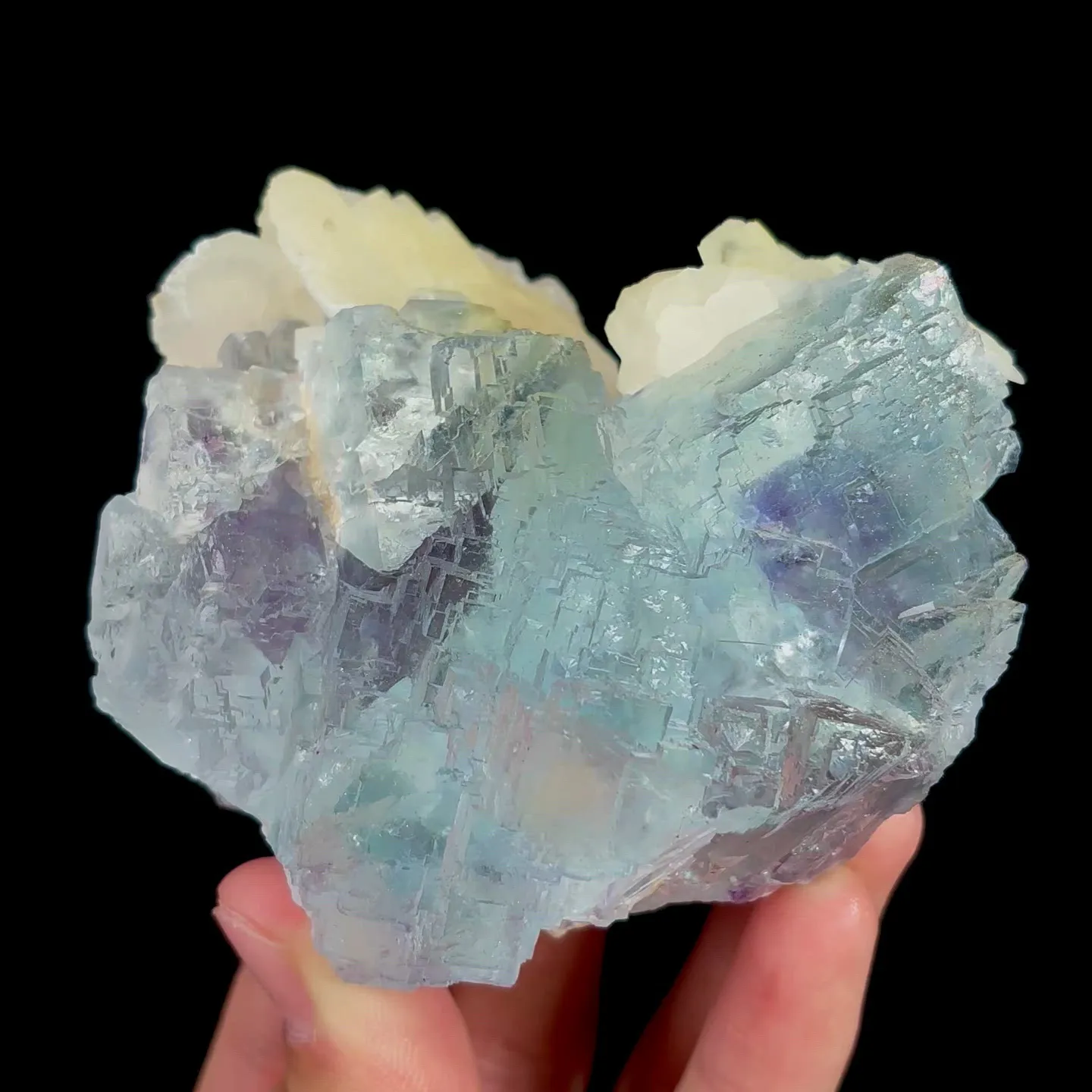 specimen video