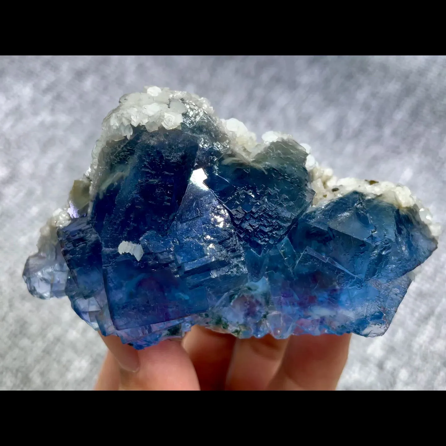 specimen video