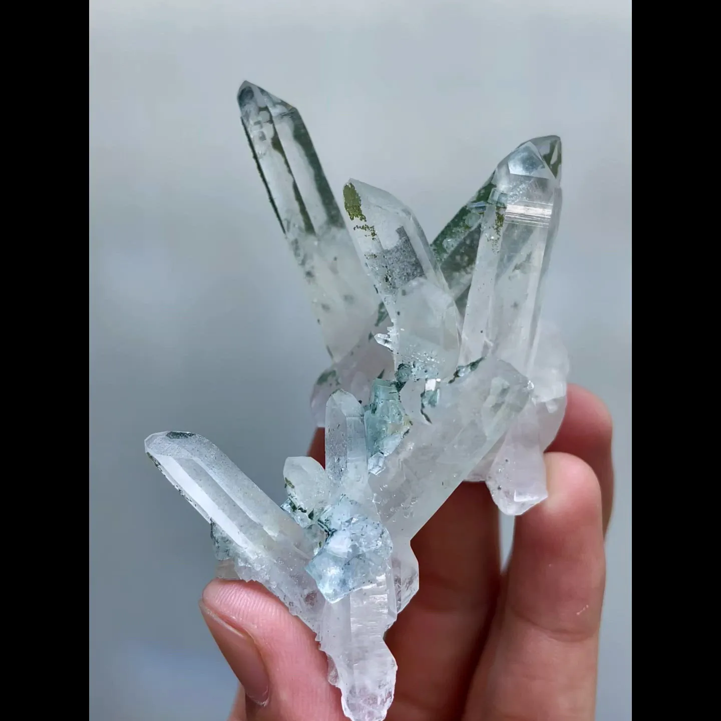 specimen video
