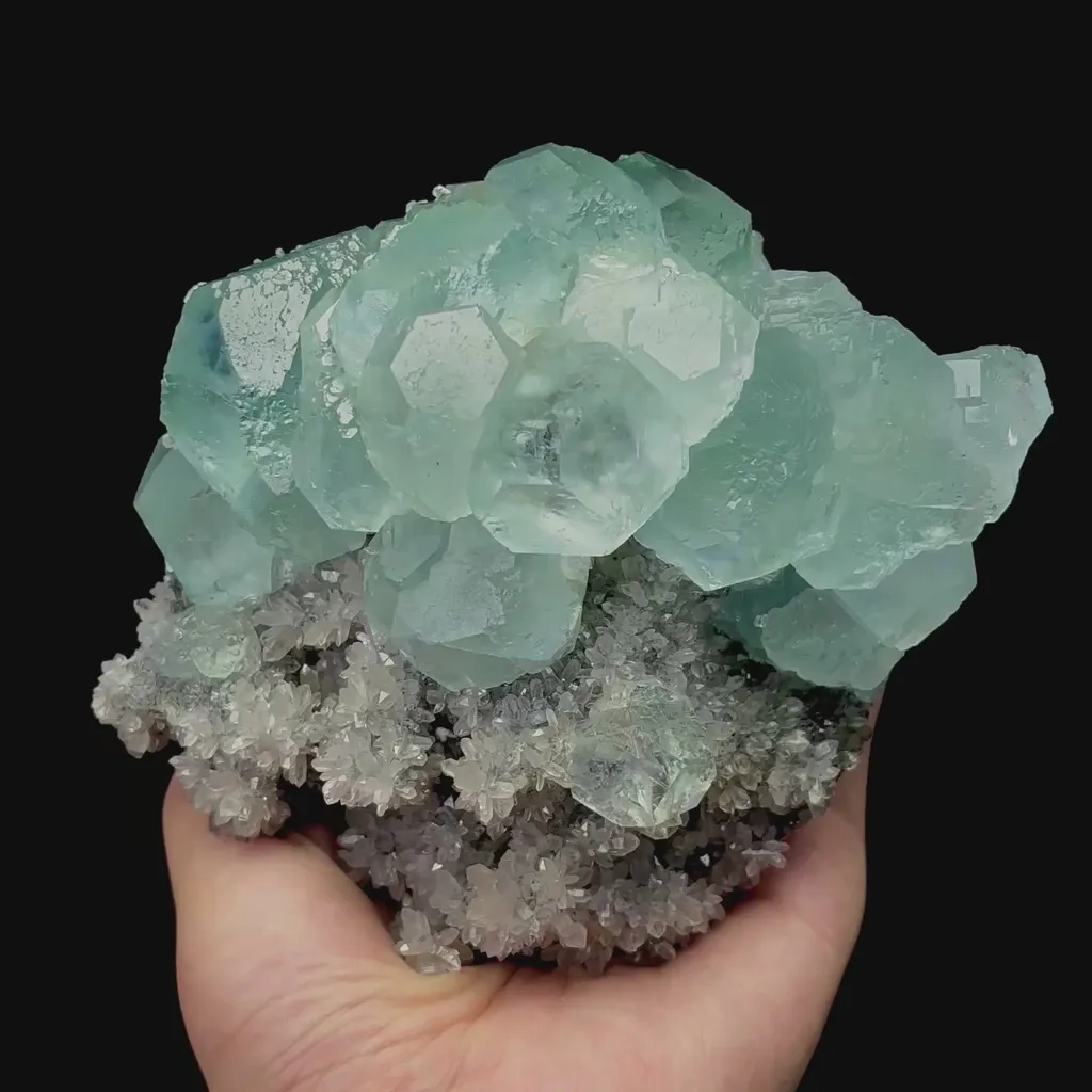 specimen video