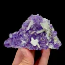 specimen video