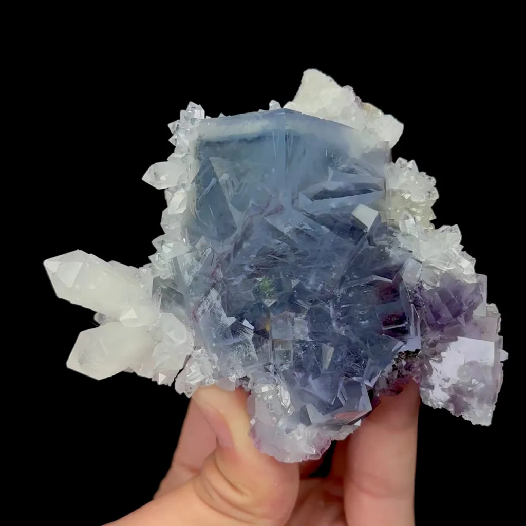 specimen video