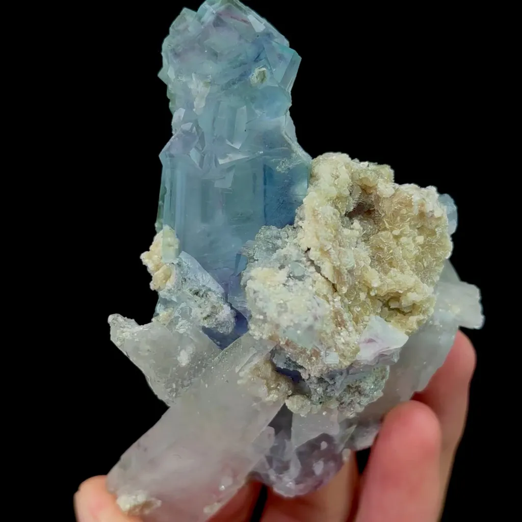 specimen video