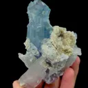 specimen video