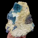 specimen video