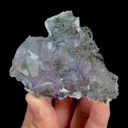 specimen video