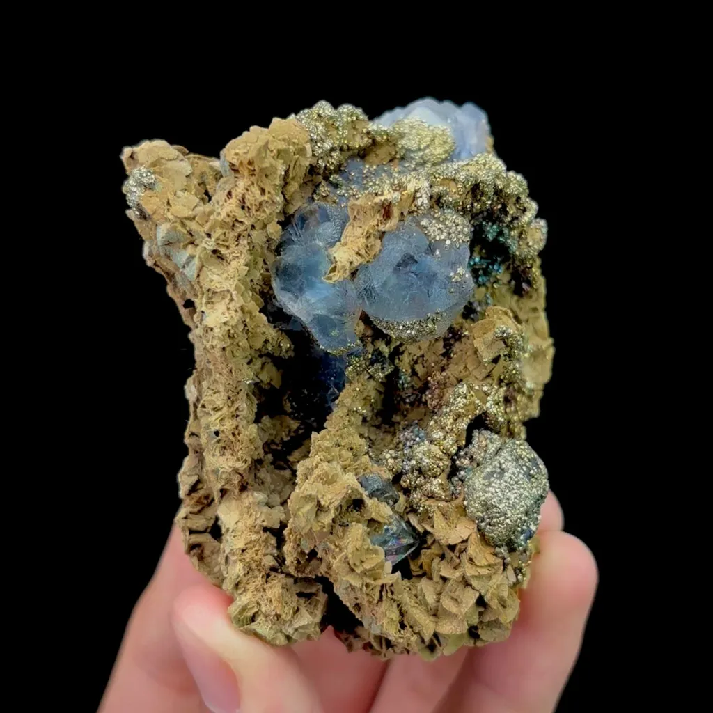 specimen video
