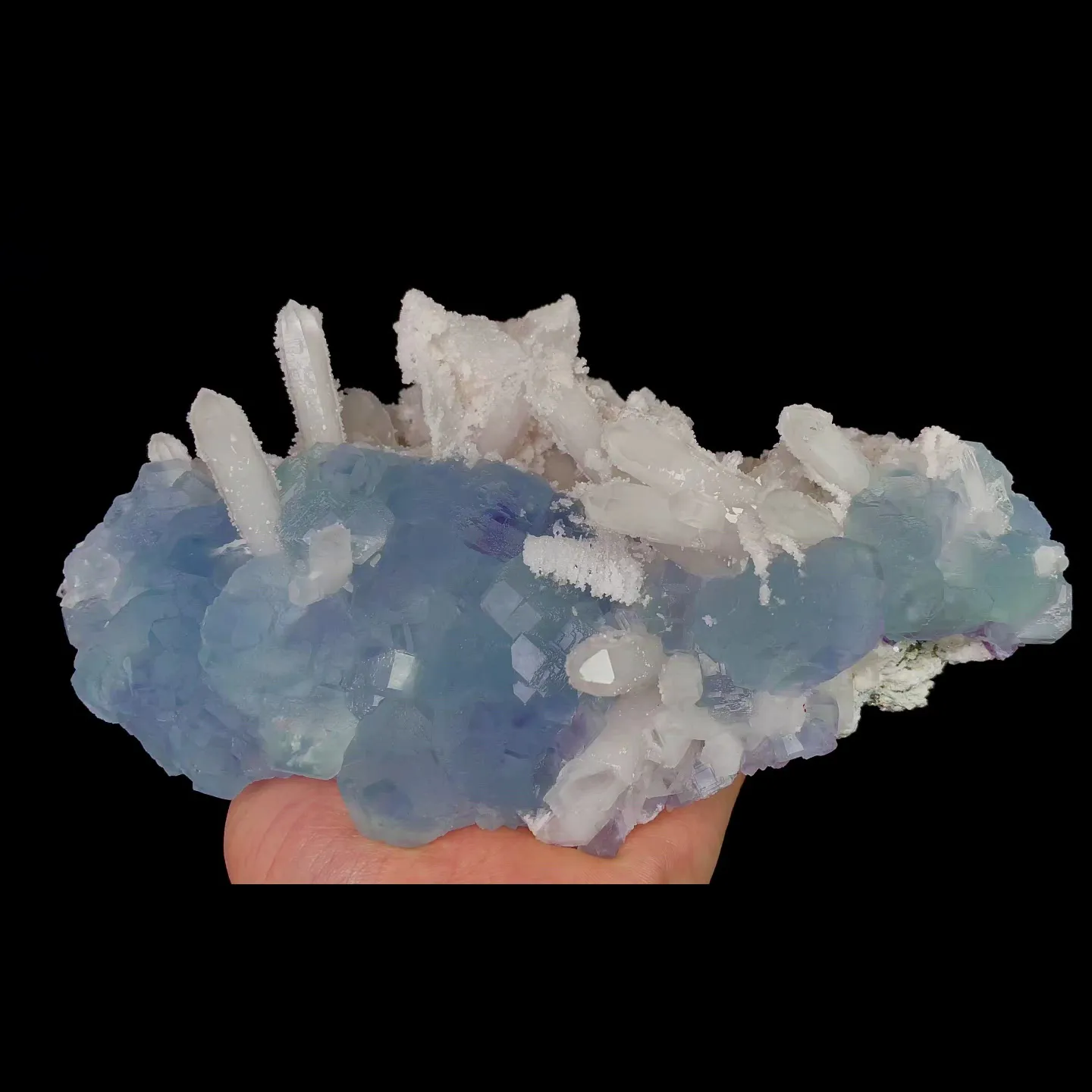 specimen video